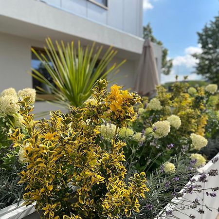 Neu 2023 Gemuetliches Apartment Im Eichsfeld Leinefelde-Worbis Zewnętrze zdjęcie